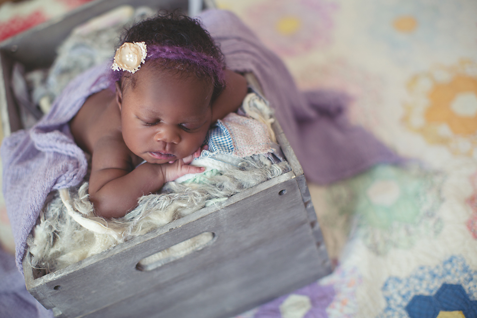 Chicago Photographer | Newborn and Baby Photographer | Chicago Photography Studio | Patricia Anderson Photography