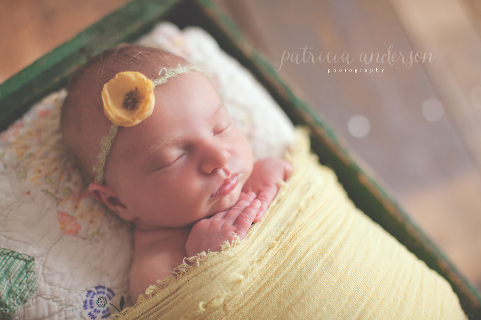 Chicago Newborn Photographer, Patricia Anderson Photography.  