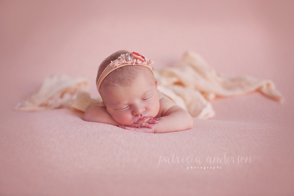 Chicago Newborn Photographer, Patricia Anderson Photography.  
