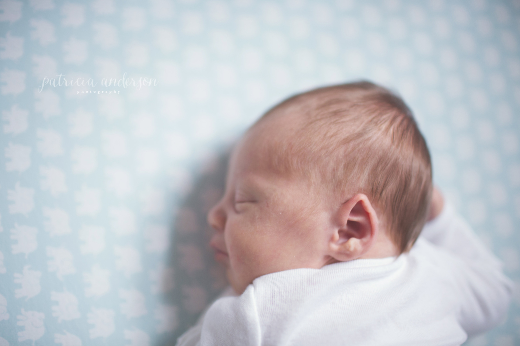 Chicago Newborn Lifestyle Photography | Patricia Anderson Photography