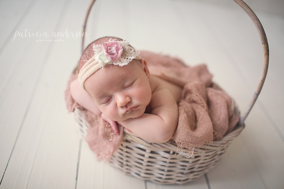 Chicago Newborn Photographer | Patricia Anderson Photography