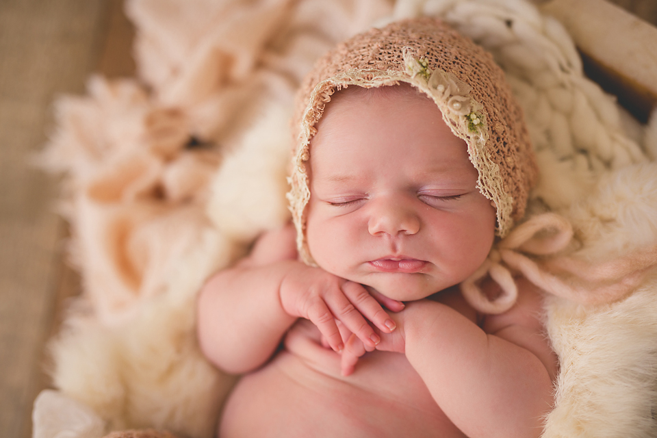 Chicago IL Newborn Photographer