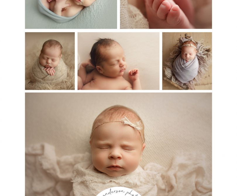 Best Chicago Newborn Photographers
