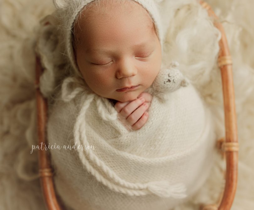 Northern Illinois Newborn Photography { Baby Bear Benjamin }