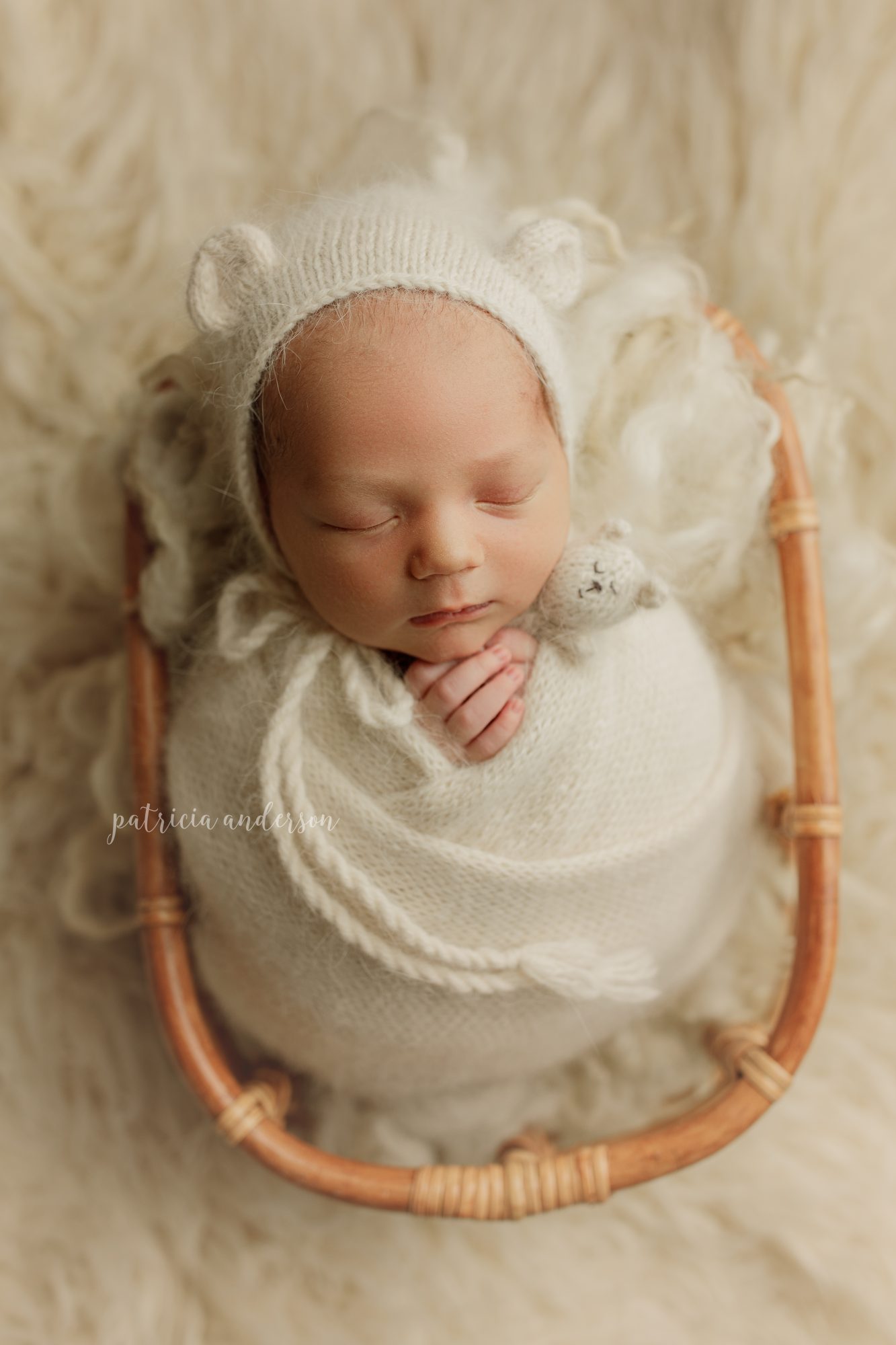 Northern Illinois Newborn Photography { Baby Bear Benjamin }